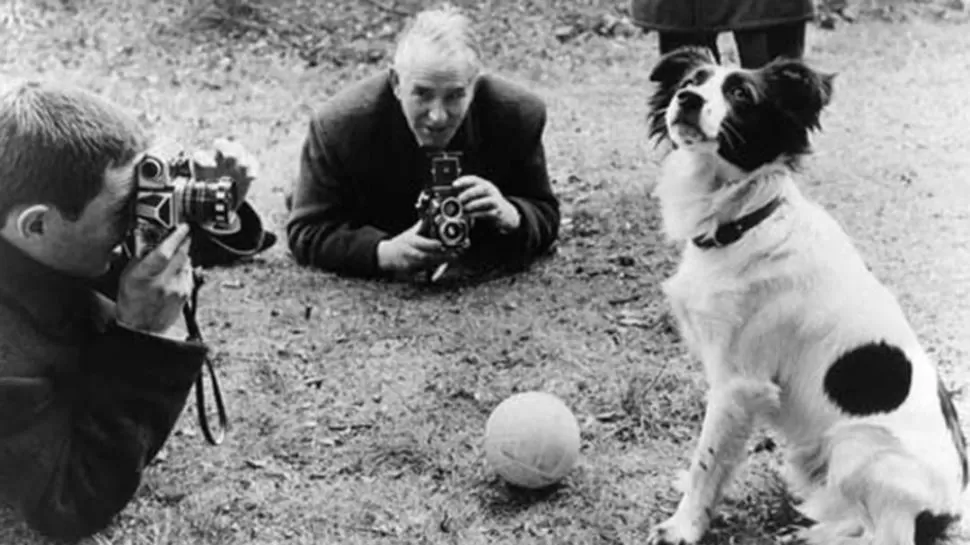 FIGURA. Pickles recibió el asedio de los fotógrafos debido a su hallazgo. infobae