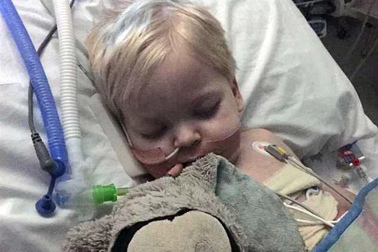 Un niño que estaba en coma despertó antes de que lo desconectaran