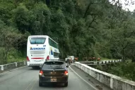 Otra vez: animales sueltos demoraron el tránsito en la ruta de Tafí del Valle