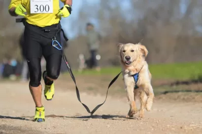 DogRun: corré con tu perro, pero no olvidés hacerle un chequeo