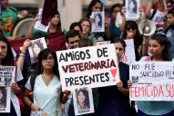 El novio la denigraba y le pegaba cuando estaba alcoholizado, relató el hermano de la estudiante jujeña