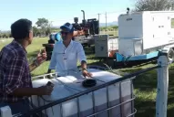 Electricidad desde la soja