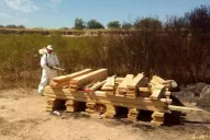 Destruyeron los embalajes de madera de motos del GP