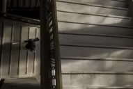 Dos años después de crearlo, la Corte activa un registro de causas contra funcionarios