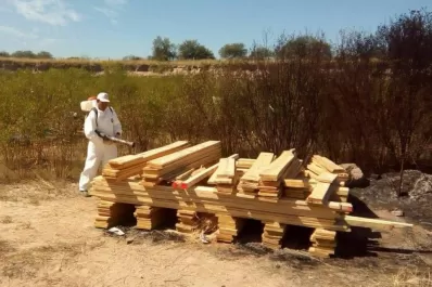 Destruyeron los embalajes de madera de motos del GP