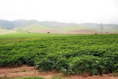 INTA Famaillá: “trabajaremos para favorecer las dinámicas de intercambio, participación, discusión y complementació