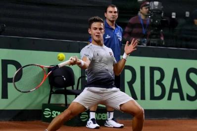 Schwartzman salvó el día
