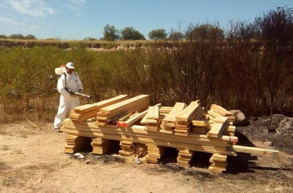 DESECHADOS. Los cajones de madera fueron desarmados y quemados. GENTILEZA SENASA