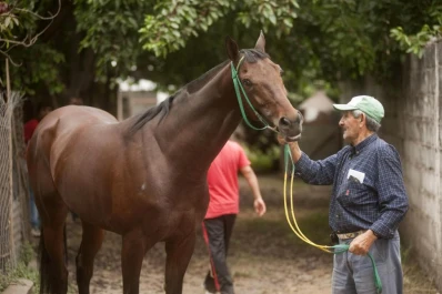 Vuelve el mejor fondista