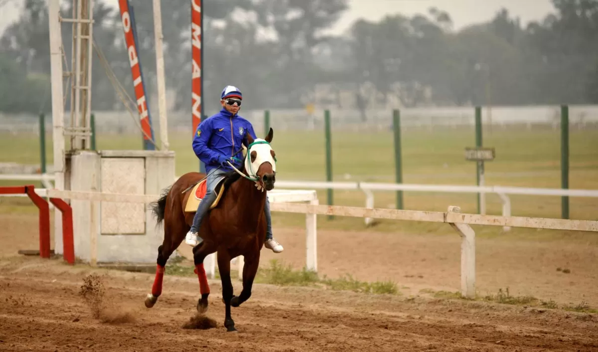 Los mediofondistas volverán a ser protagonistas en el cotejo central