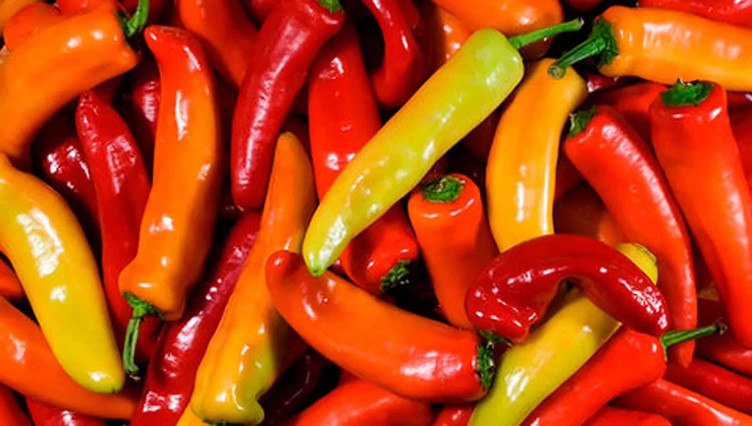 PICANTE. FOTO TOMADA DE MILENIO.COM