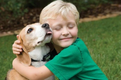 Antes de reemplazar a la mascota que murió se impone un duelo