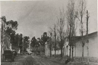 Con adoquines de madera