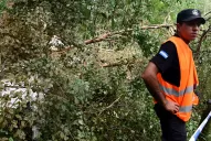 Los primeros resultados de las pericias a los restos del avión accidentado estarían listos la próxima semana