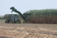 Los “prezafra” ayudan a definir estrategias