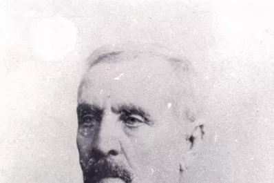 Locura por las plantas