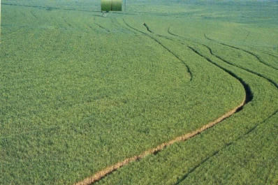 Eeaoc: “la calidad es muy variable”