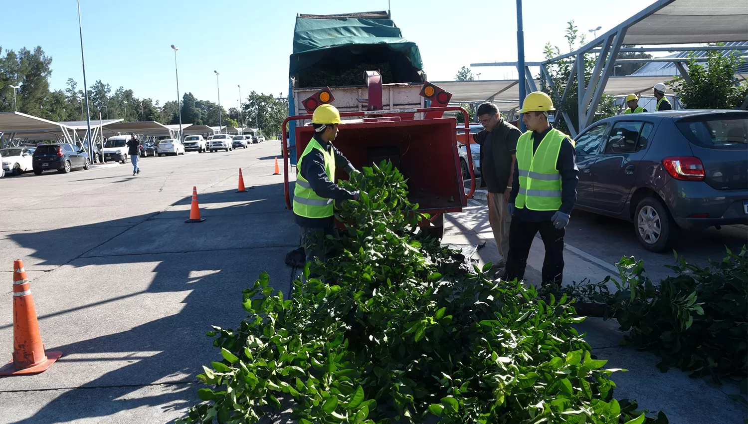 TALADO Y TRITURADO. Las ramas y troncos de los árboles podados fueron procesados con el fin de poder reutilizar ese material orgánico. FOTOS PRENSA MUNICIPALIDAD DE SAN MIGUEL DE TUCUMÁN