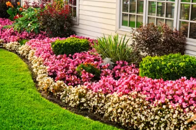Si alguna de estas plantas está en tu casa, es mejor que tengas cuidado