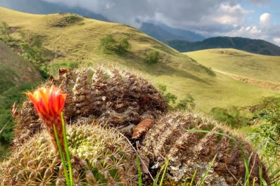 Las siete Maravillas Argentinas: Tafí del Valle, entre las más populares