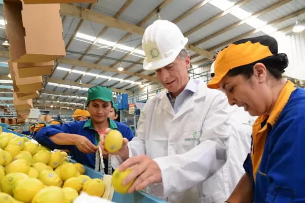 En Estados Unidos, los limones llegarán al puerto de Filadelfia