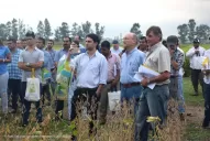 La EEAOC mostró sus avances en soja, maíz y poroto