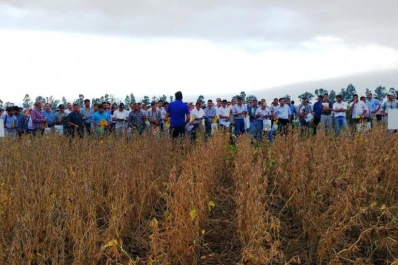 Nuevos materiales RR2Bt