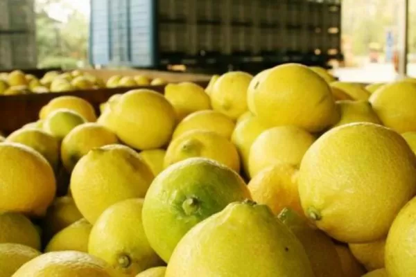 El citrus tiene alícuota cero, pero con condiciones