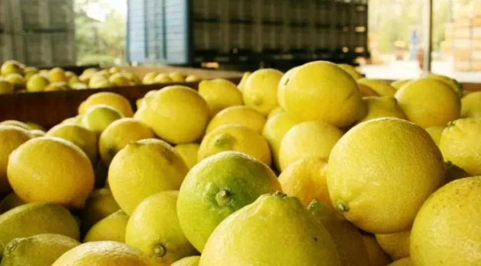 El citrus tiene alícuota cero, pero con condiciones