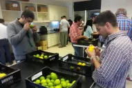 La exportación de limón siempre plantea desafíos