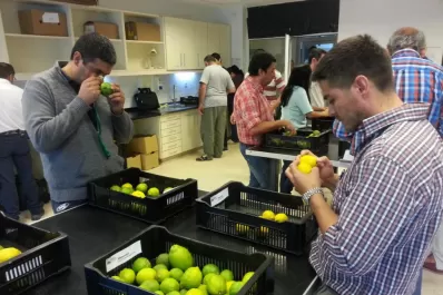 La exportación de limón siempre plantea desafíos