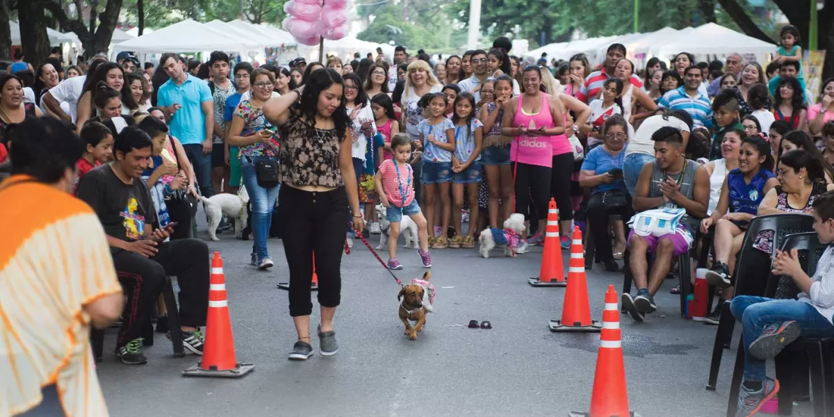 Héroes de cuatro patas