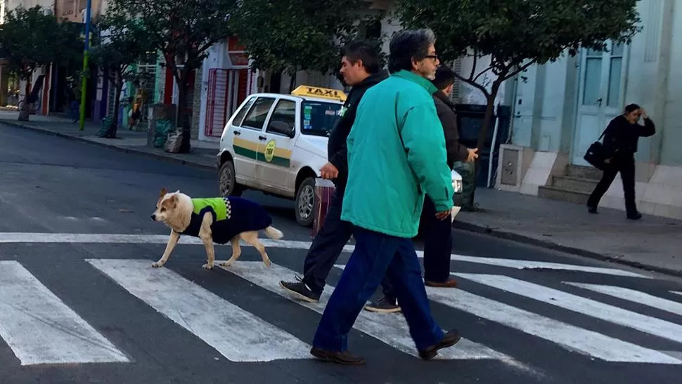 Azul fue recordado como un buen compañero. 