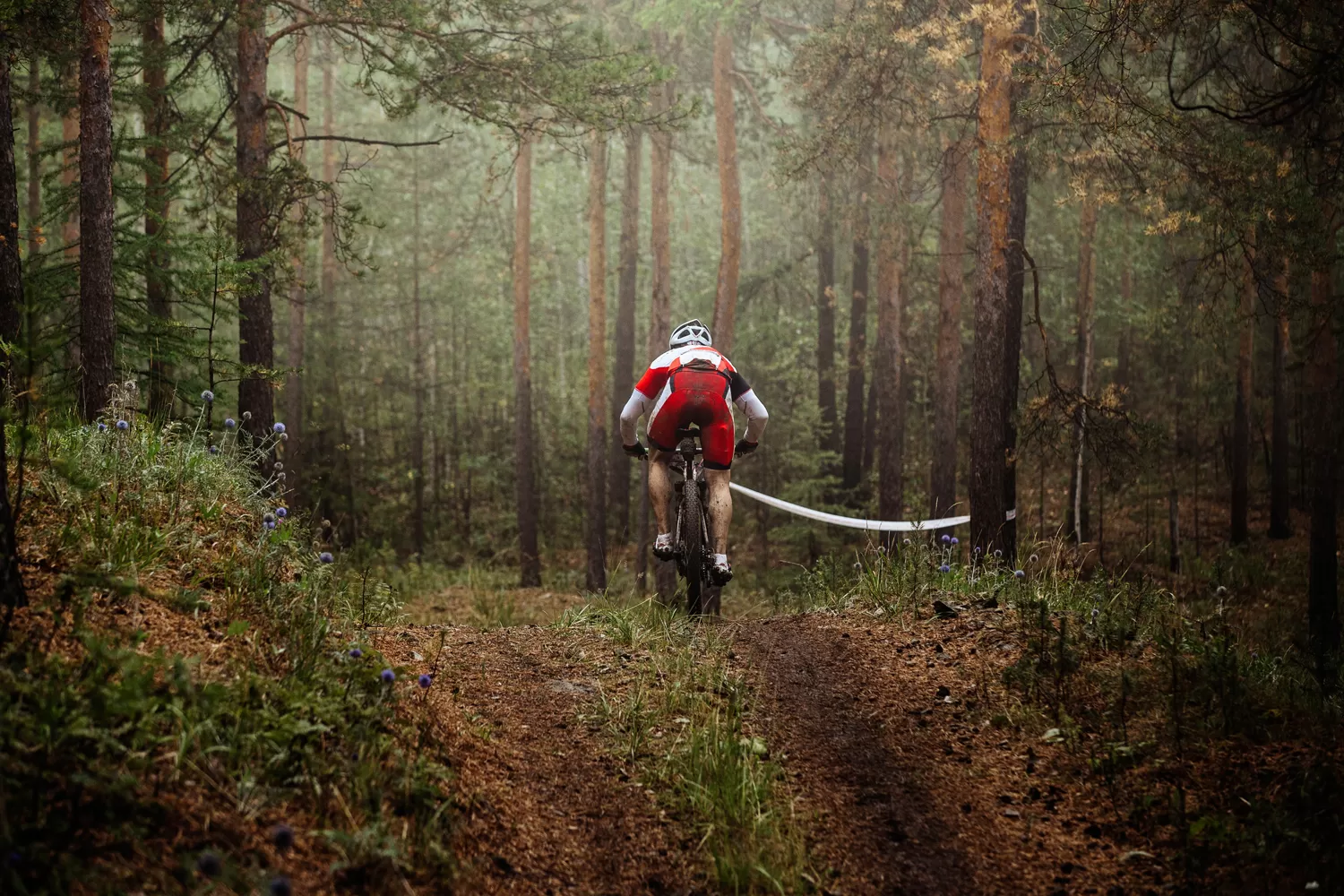 ¿Querés hacer Mountain Bike? Estas son las claves para arrancar de la mejor forma