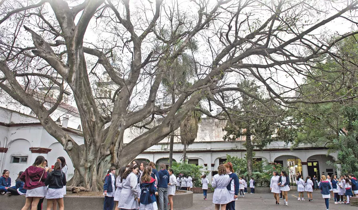 El último intento por revivir al gigante de la escuela Sarmiento