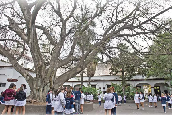 El último intento por revivir al gigante de la escuela Sarmiento