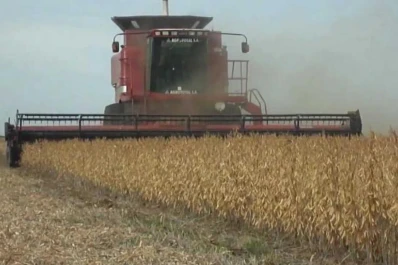 Las lluvias irregulares impactaron en la soja