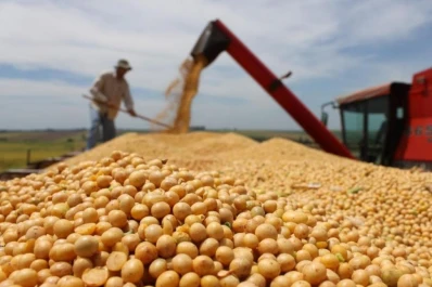 La cosecha cobra fluidez en el NOA, pero se demora en el centro del país