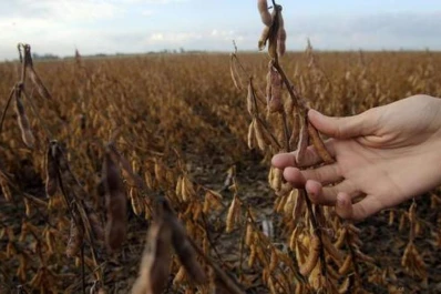 Menos rindes, pero mejores precios