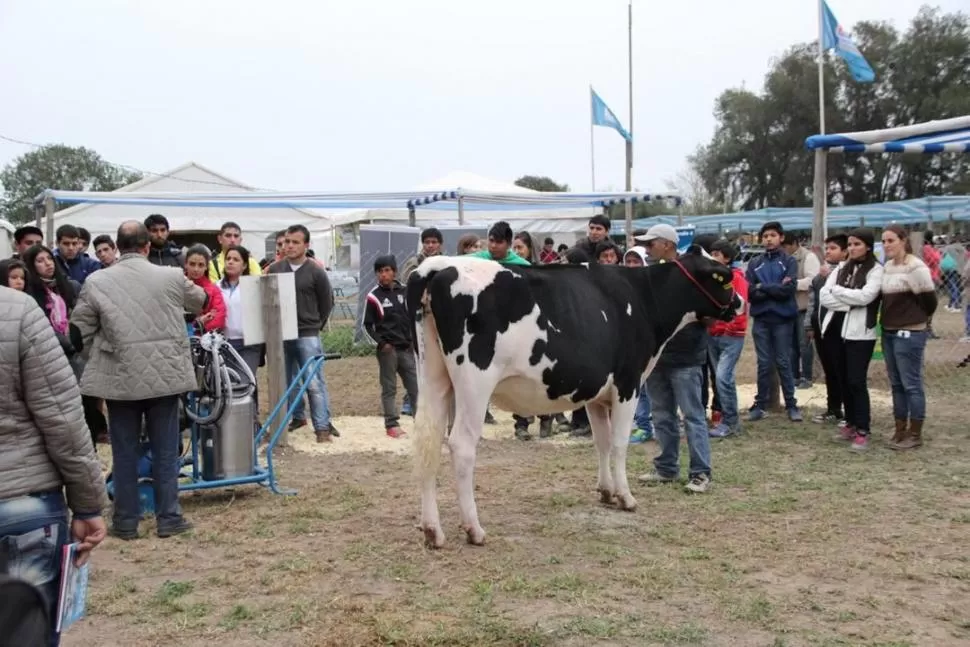 FORMACIÓN CONTINUA. Especialistas en manejo de tambos y de ganado lechero, dictarán capacitaciones sobre distintos aspectos vinculados con el trabajo en los establecimiento productores. 