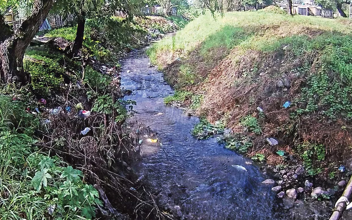 Acequia La Hedionda tan insoportable como su nombre lo indica
