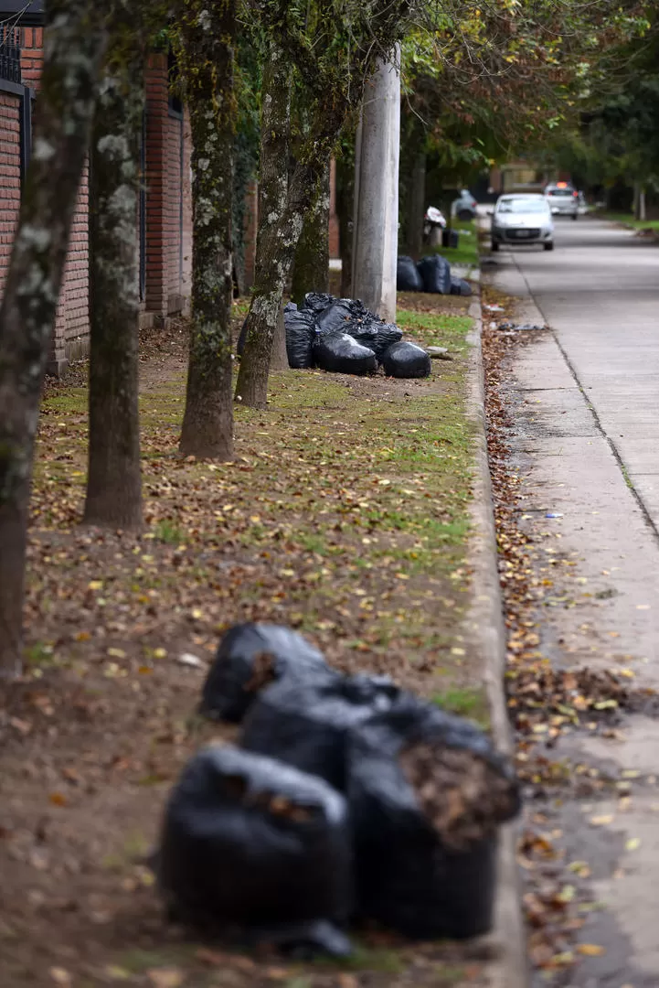 POSTALES. Los residuos -sueltos o en bolsas- se desparraman por todos los sectores de la “Ciudad Jardín”. -LA GACETA / FOTOS DE DIEGO ARÁOZ.-