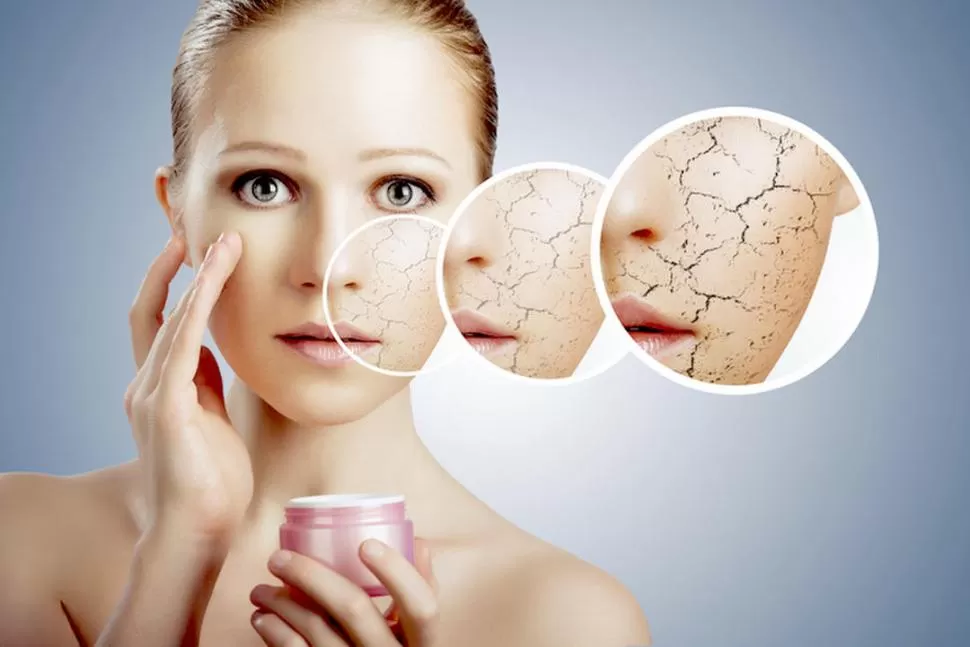 A DIARIO. Las cremas hidratantes deben tener vitamina A y E para prevenir el resecamiento y el envejecimiento. 