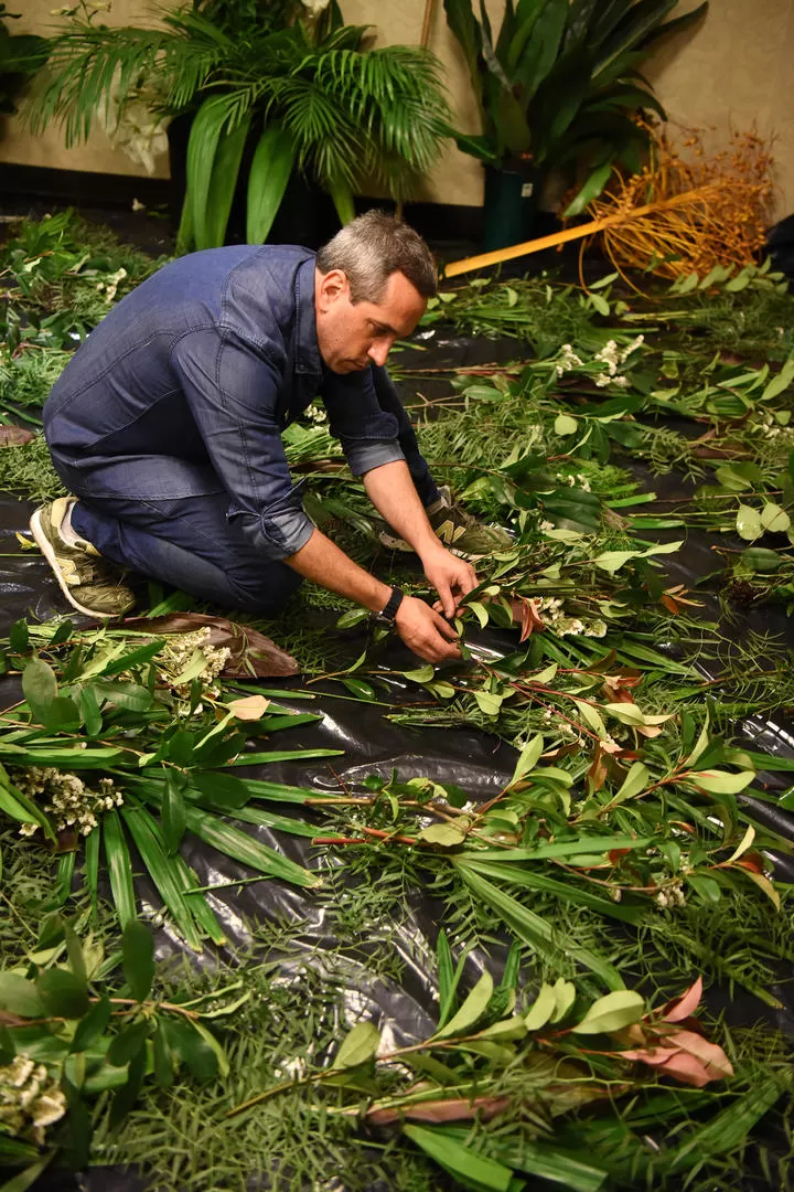 FEDERICO SÁNCHEZ. -