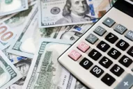 Nueve conceptos para entender la renovación de letras, el dólar y dónde invertir