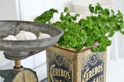 Cinco opciones para darle un toque vintage a los ambientes de tu casa