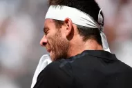 Del Potro se desgarró y puso en duda su participación en Roland Garros