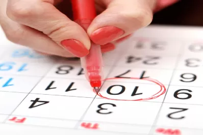 Mirá el día del calendario en el que se celebran más Días Mundiales