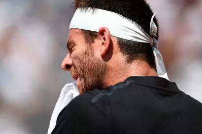 Del Potro se desgarró y puso en duda su participación en Roland Garros