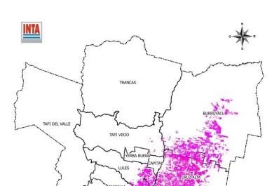 La superficie a cosechar con caña de azúcar es de 373.737 héctáreas